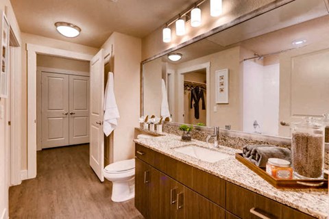 Bathrooms with Undermount Sinks and Espresso-Wood Cabinetry